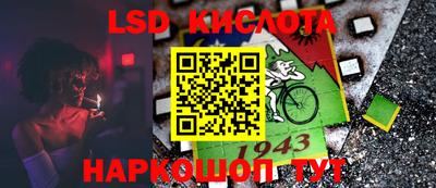 прущие грибы Пугачёв