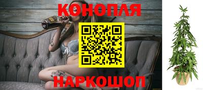 молекула духа Владивосток
