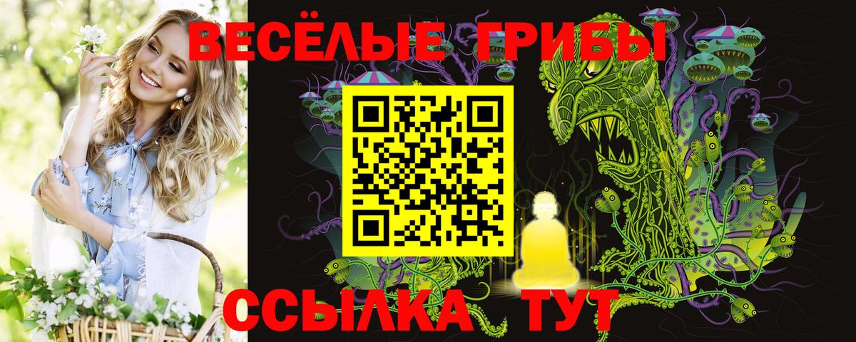 Псилоцибиновые грибы мухоморы Амурск